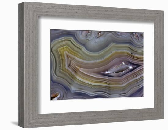 Banded Agate, Quartzsite, AZ-Darrell Gulin-Framed Photographic Print