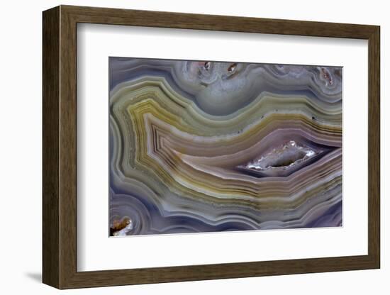 Banded Agate, Quartzsite, AZ-Darrell Gulin-Framed Photographic Print