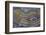 Banded Agate, Quartzsite, AZ-Darrell Gulin-Framed Photographic Print