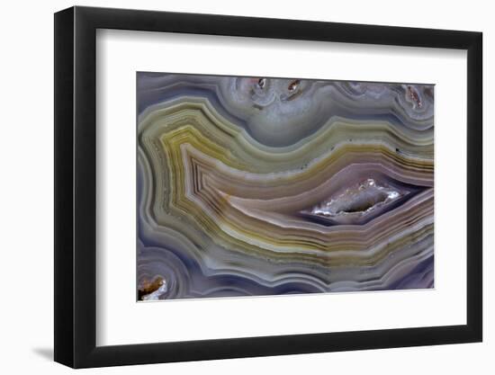 Banded Agate, Quartzsite, AZ-Darrell Gulin-Framed Photographic Print