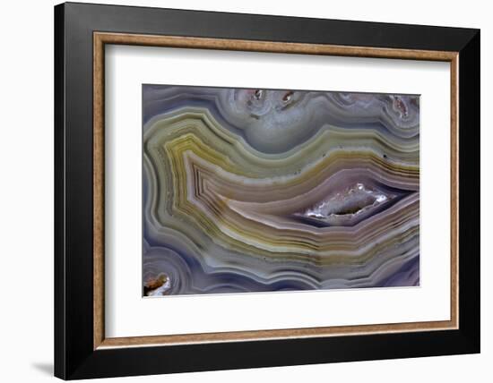 Banded Agate, Quartzsite, AZ-Darrell Gulin-Framed Photographic Print