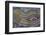 Banded Agate, Quartzsite, AZ-Darrell Gulin-Framed Photographic Print