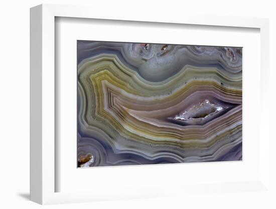 Banded Agate, Quartzsite, AZ-Darrell Gulin-Framed Photographic Print