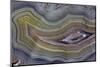 Banded Agate, Quartzsite, AZ-Darrell Gulin-Mounted Photographic Print