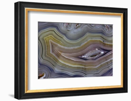 Banded Agate, Quartzsite, AZ-Darrell Gulin-Framed Photographic Print