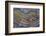 Banded Agate, Quartzsite, AZ-Darrell Gulin-Framed Photographic Print