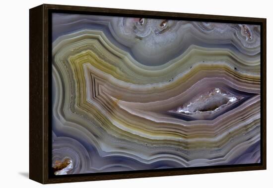 Banded Agate, Quartzsite, AZ-Darrell Gulin-Framed Premier Image Canvas