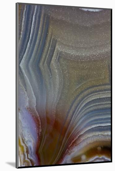 Banded Agate, Quartzsite, AZ-Darrell Gulin-Mounted Photographic Print