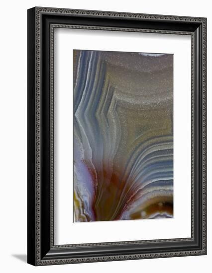 Banded Agate, Quartzsite, AZ-Darrell Gulin-Framed Photographic Print