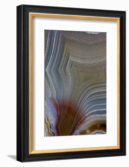 Banded Agate, Quartzsite, AZ-Darrell Gulin-Framed Photographic Print