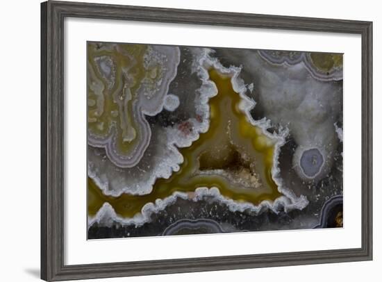 Banded Agate, Quartzsite, AZ-Darrell Gulin-Framed Photographic Print