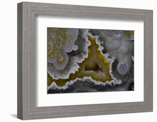 Banded Agate, Quartzsite, AZ-Darrell Gulin-Framed Photographic Print