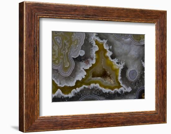 Banded Agate, Quartzsite, AZ-Darrell Gulin-Framed Photographic Print