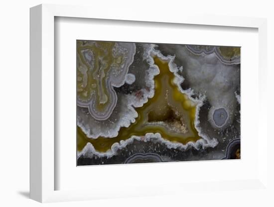 Banded Agate, Quartzsite, AZ-Darrell Gulin-Framed Photographic Print