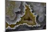 Banded Agate, Quartzsite, AZ-Darrell Gulin-Mounted Photographic Print