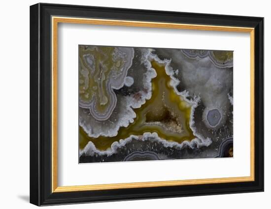 Banded Agate, Quartzsite, AZ-Darrell Gulin-Framed Photographic Print