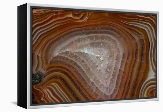 Banded Agate, Quartzsite, AZ-Darrell Gulin-Framed Premier Image Canvas