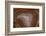 Banded Agate, Quartzsite, AZ-Darrell Gulin-Framed Photographic Print