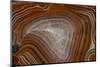 Banded Agate, Quartzsite, AZ-Darrell Gulin-Mounted Photographic Print