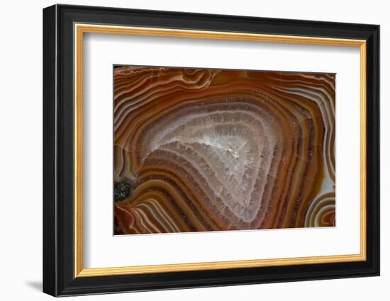 Banded Agate, Quartzsite, AZ-Darrell Gulin-Framed Photographic Print