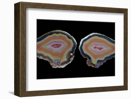 Banded Agate, Quartzsite, AZ-Darrell Gulin-Framed Photographic Print