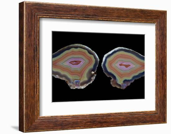 Banded Agate, Quartzsite, AZ-Darrell Gulin-Framed Photographic Print