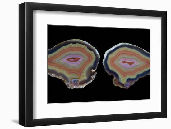 Banded Agate, Quartzsite, AZ-Darrell Gulin-Framed Photographic Print