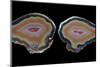 Banded Agate, Quartzsite, AZ-Darrell Gulin-Mounted Photographic Print