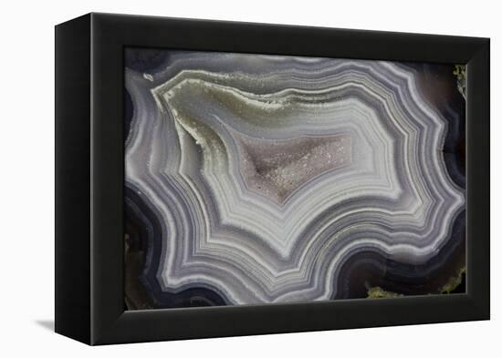 Banded Agate, Sammamish, Washington State-Darrell Gulin-Framed Premier Image Canvas