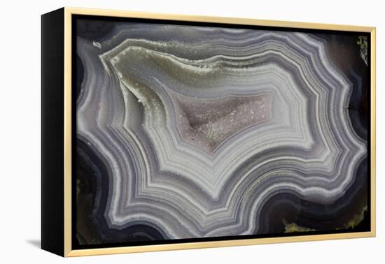 Banded Agate, Sammamish, Washington State-Darrell Gulin-Framed Premier Image Canvas