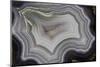 Banded Agate, Sammamish, Washington State-Darrell Gulin-Mounted Photographic Print