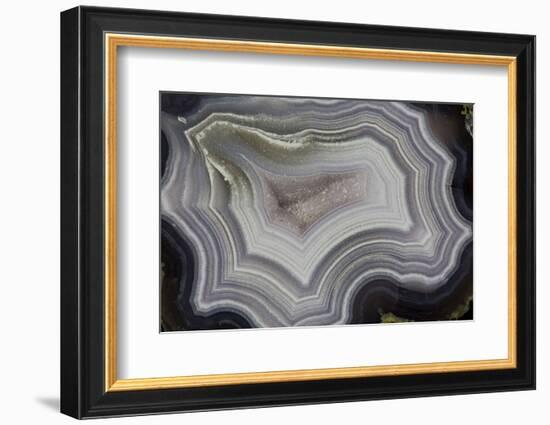 Banded Agate, Sammamish, Washington State-Darrell Gulin-Framed Photographic Print