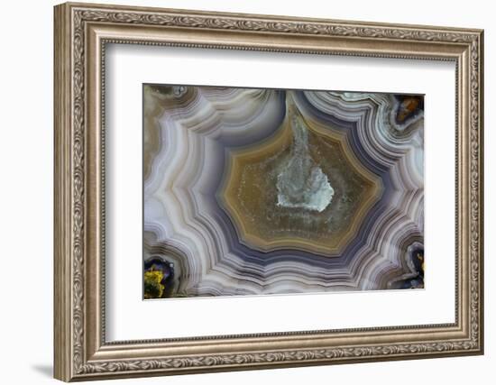 Banded Agate, Sammamish, Washington State-Darrell Gulin-Framed Photographic Print