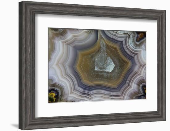 Banded Agate, Sammamish, Washington State-Darrell Gulin-Framed Photographic Print