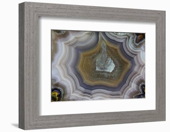 Banded Agate, Sammamish, Washington State-Darrell Gulin-Framed Photographic Print