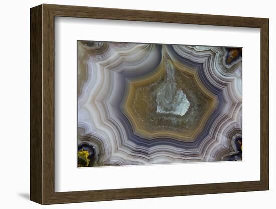 Banded Agate, Sammamish, Washington State-Darrell Gulin-Framed Photographic Print