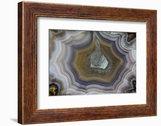 Banded Agate, Sammamish, Washington State-Darrell Gulin-Framed Photographic Print