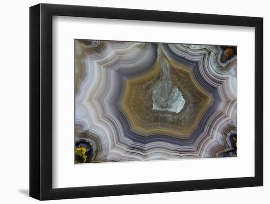 Banded Agate, Sammamish, Washington State-Darrell Gulin-Framed Photographic Print