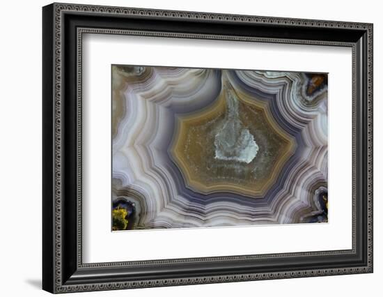 Banded Agate, Sammamish, Washington State-Darrell Gulin-Framed Photographic Print