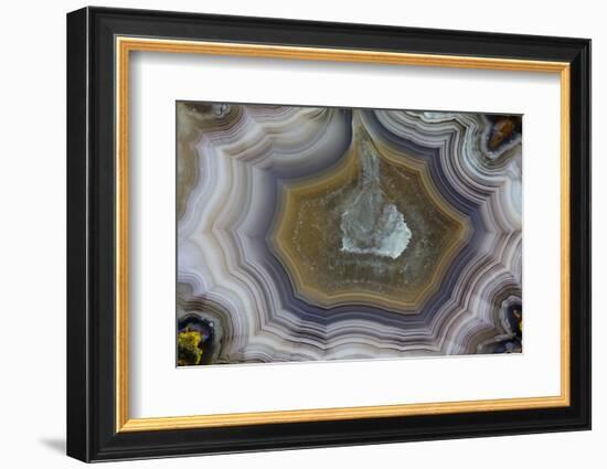 Banded Agate, Sammamish, Washington State-Darrell Gulin-Framed Photographic Print