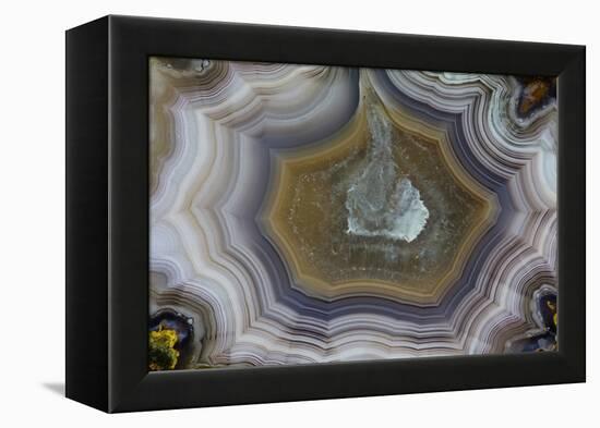 Banded Agate, Sammamish, Washington State-Darrell Gulin-Framed Premier Image Canvas