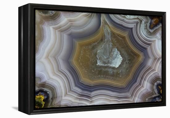 Banded Agate, Sammamish, Washington State-Darrell Gulin-Framed Premier Image Canvas