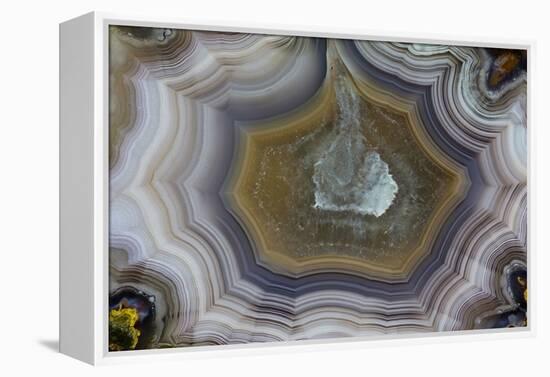 Banded Agate, Sammamish, Washington State-Darrell Gulin-Framed Premier Image Canvas