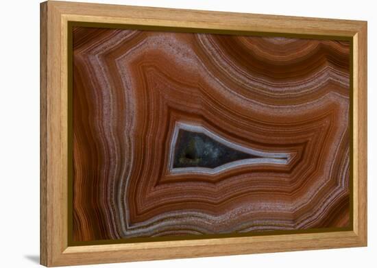 Banded Agate, Sammamish, Washington State-Darrell Gulin-Framed Premier Image Canvas