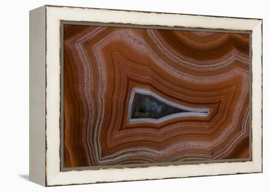 Banded Agate, Sammamish, Washington State-Darrell Gulin-Framed Premier Image Canvas