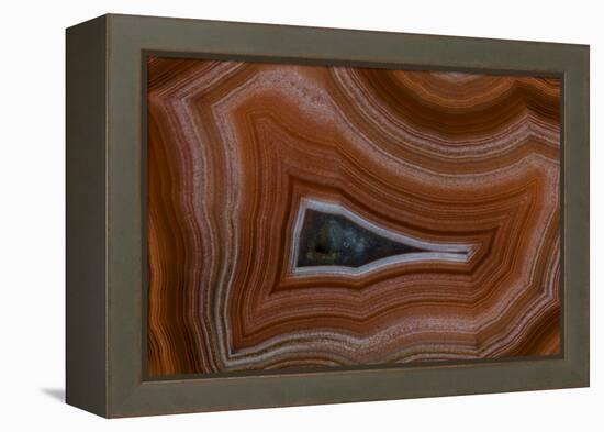 Banded Agate, Sammamish, Washington State-Darrell Gulin-Framed Premier Image Canvas