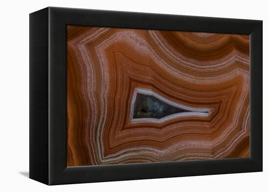 Banded Agate, Sammamish, Washington State-Darrell Gulin-Framed Premier Image Canvas