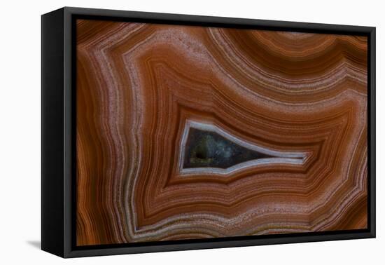 Banded Agate, Sammamish, Washington State-Darrell Gulin-Framed Premier Image Canvas