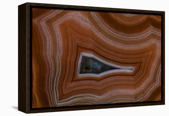 Banded Agate, Sammamish, Washington State-Darrell Gulin-Framed Premier Image Canvas