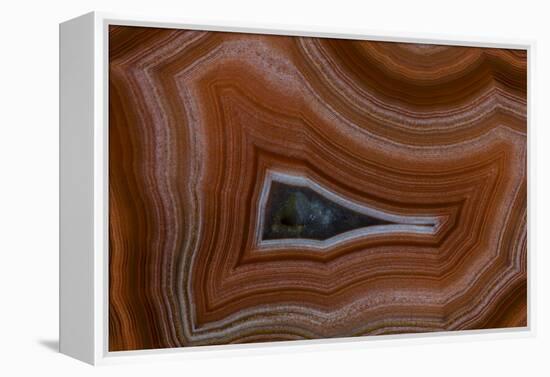 Banded Agate, Sammamish, Washington State-Darrell Gulin-Framed Premier Image Canvas